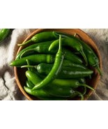 MX Premium Serrano Pepper Fresh Organic Seeds 10 000 Scoville Units Bulk... - $10.09