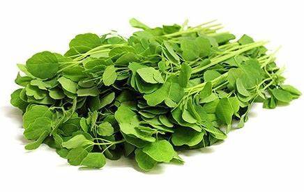 Papaloquelite Bolivian Coriander Organic, 50 SEEDS D