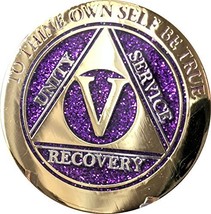 5 Year Elegant Glitter Purple Gold Silver Bi-Plated AA Medallion Chip - $16.82