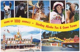 Postcard Sterling Alaska Fun &amp; Game Farms Home Of 1000 Animals - £2.32 GBP