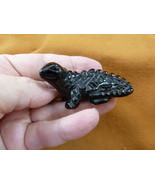 Y-LIZ-CH-719) Black Onyx CHAMELEON LIZARD gemstone carving I love lizard... - £13.75 GBP