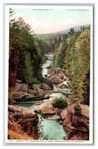 Ammonosuc River Bretton Woods White Mountains NH Detroit Publishing Postcard C19 - £3.02 GBP