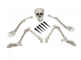 Europalms Halloween Skeleton, Multi-Piece - £28.06 GBP