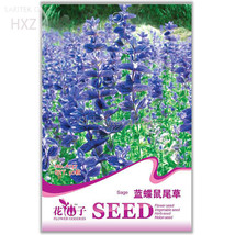 Blue Butterfly Sage Flower Original Package 50 seeds - £7.02 GBP