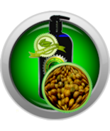 Marula Oil - Virgin - $295.96 MXN+