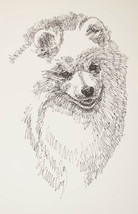 American Eskimo Dog Art Portrait Drawn from Words #43 Kline adds dog nam... - £39.52 GBP