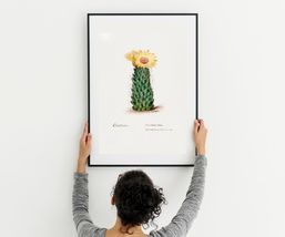 Flowering Beehive Cactus Botanics Wall Art Poster 22 x 30 in - £28.08 GBP