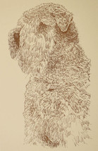 SOFT COATED WHEATEN TERRIER DOG ART Kline Drawing #30 - £39.87 GBP