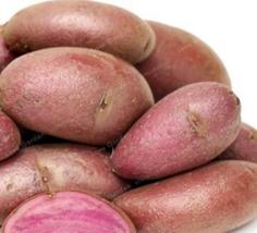 100 SEEDS Banana Fingerling Potato Bonsa Organic Seed - £16.42 GBP