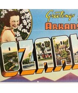 The Ozarks Arkansas Souvenir Folio Colortone 9 Prints Topographic PCBG5G - $570.01 MXN