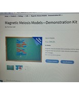 Flinn Scientific FB1992 Magnetic Meiosis Models Demonstration kit. - $75.39 MXN