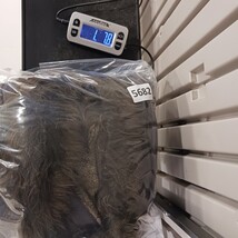 Black Mountain Peak Girls/Women's Brown Vest Size Medium Faux Fur Lined Hoodie image 7