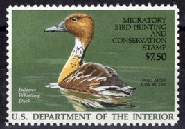 US RW53 MNH VF Fulvous Whistling Duck Duck Revenue Zayix Stamps 0225MAR0071 - $11.70