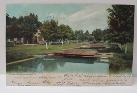 Corry Pennsylvania State Fish Hatchery 1905 to Ridgway PA Rotograph Postcard AA2 - £4.73 GBP