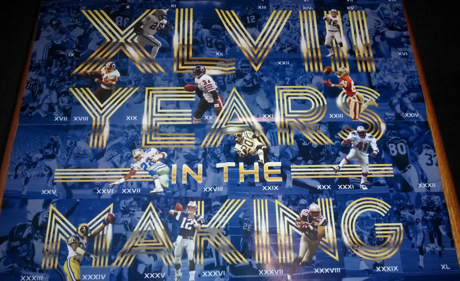 Primary image for NFL Collectible Super Bowl XLVIII Rings Metlife Stadium 22 x 24 Poster 