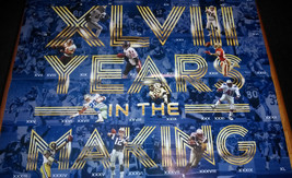 NFL Collectible Super Bowl XLVIII Rings Metlife Stadium 22 x 24 Poster  - £3.95 GBP