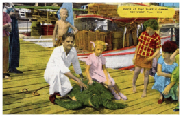 Dock at the Turtle Crawl Key West Florida Postcard Posted 1954 - £6.93 GBP