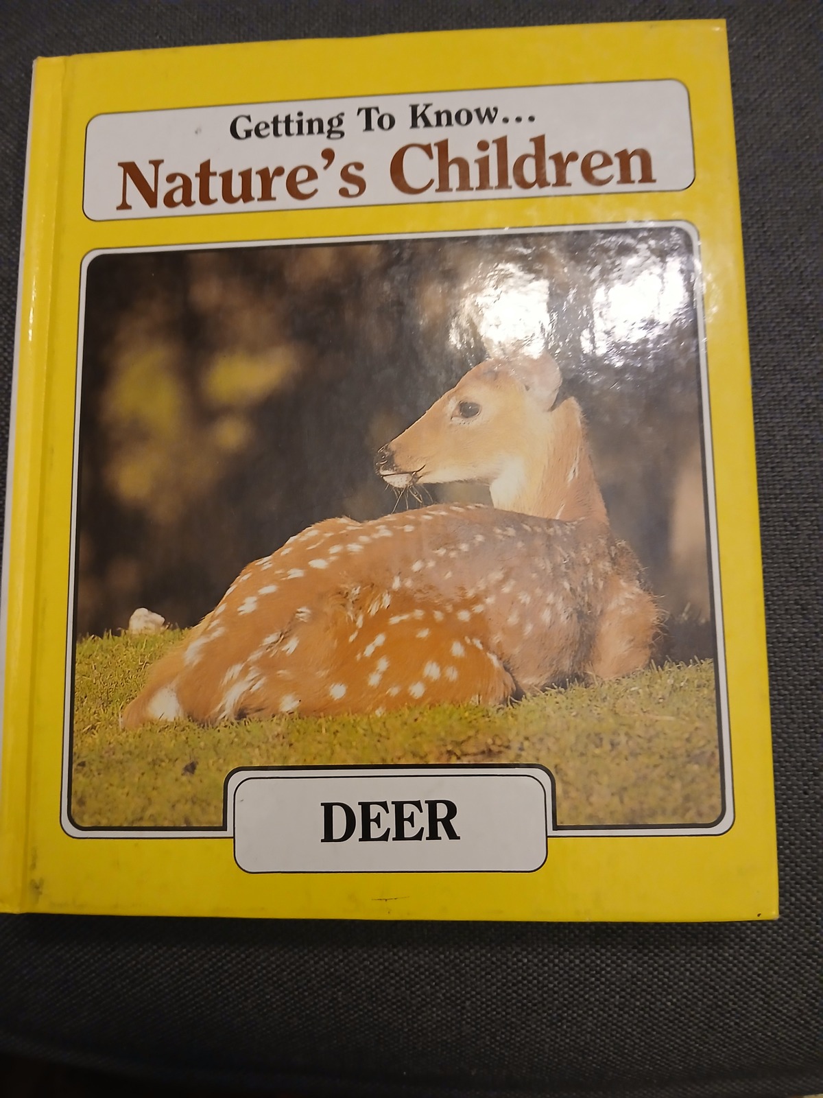 Getting To Know... Nature&#39;s Children by Laima Dingwall, copyright 1985, ... - $16.00