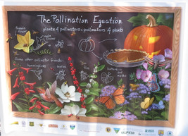 Pollinator Partner Poster 2020  Halloween Theme Teacher / Educator Resou... - £14.83 GBP