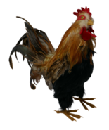 Realistic Feathered Rooster Country Farmhouse Rustic Decor - $1,081.89 MXN