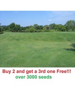 BZ 2 Oz Buffalo Grass Seed Native Prairie Sedge Low Maintenance Drought Heat Tur - €35,28 EUR