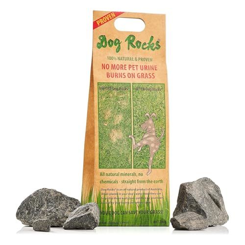 Dog Rocks for Urine Burning Grass - 200g Natural Pet Rock to Help Mainta... - $24.99