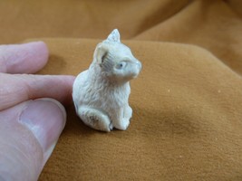 CAT-W16 little Cat kitten shed ANTLER figurine Bali detailed carving lov... - £30.82 GBP