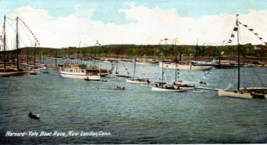 Yale Harvard Regatta Boat Race Crew New London Connecticut Postcard - $6.90