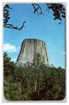 Devil&#39;s Torre Sundance Wyoming Wy Cromo Cartolina S25 - £4.06 GBP
