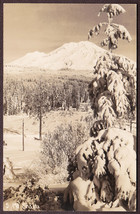 Mt. Shasta, CA RPPC Snow-Covered Scene of Forest and Mountain No. 5 - £9.59 GBP