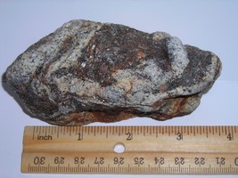 Unique Decorative Sparkly Gneiss Rock Specimen - $7.99