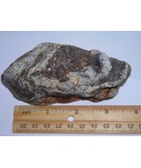 Unique Decorative Sparkly Gneiss Rock Specimen - $7.99