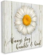 Stupell Industries Always Stay Humble and Kind Phrase with Daisy Wall Art, 30 x - £47.15 GBP