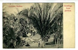 Castleton Gardens Postcard Greetings from Jamaica  BWI - £9.38 GBP