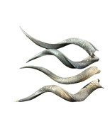 Kudu Horn, 1 Natural Kudu Antelope Horn, big dog chew, Deer Horn Average... - €41,84 EUR