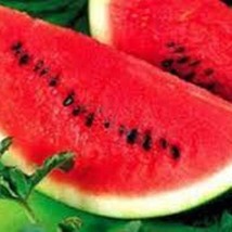 Cal Sweet Supreme Watermelon - Organic, Heirloom Seeds - Universal Favor... - $8.98