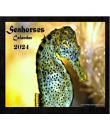 Seahorse Calendar 2024 Seahorse Picture Calendar Seahorse 2024 Planner Organizer - $27.00