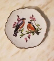 Decorative Porcelain Plate Eastern Bluebirds And Flowers Japan Wall Decor 8&quot; - $6.94