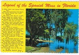 Florida Postcard Legend Of The Spanish Moss - $2.06