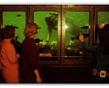 Scuba Divers Undersea Gardens Newport Oregon OR UNP Chrome Postcard K16 - $17.03