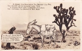 Joshua Palm and Lonesome Old Jack Donkey RPPC Postcard D10 - £2.36 GBP