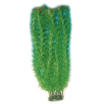 Plastic Plant Bush (Xlarge) - Anachris 36cm - $18.68