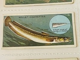 WD HO Wills Cigarettes Tobacco Trading Card 1910 Fish Bait Lure Ling #33... - $19.69