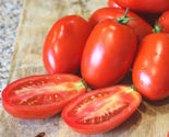 50 Seeds Picus Tomato Vegetable Garden - $9.70