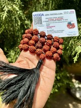 Laborzertifiziert Natürlich 5 Mukhi Rudraksha Rudraksh Mala Rosenkranz 54+1 P... - £17.40 GBP