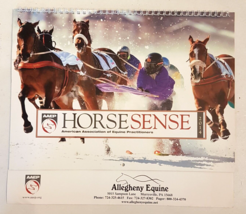 Horse Sense American Equine Practitioners Ass&#39;n  2014 Wall Calendar same... - $14.79