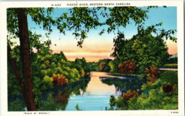 Pigeon River Western North Carolina Postcard - £5.39 GBP