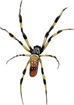 Banana Spider Sticker Decal Auto SUV RV ATV Camper Tailgate Hood - £5.55 GBP+