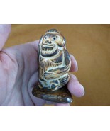 (tne-ape-OR-312b) brown ORANGUTAN monkey ape TAGUA NUT palm nuts figurin... - $804.96 MXN