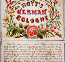 C1880s Hoyts German Cologne Perfumed Victorian Trade Card Lovely Floral ... - $530.98 MXN